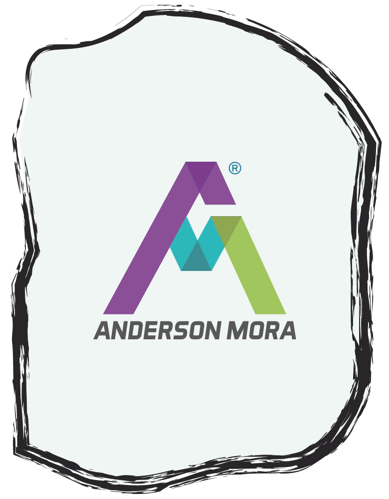 Anderson Mora: Transformación Digital hacia el Éxito Empresarial